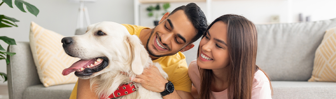 international pet moving