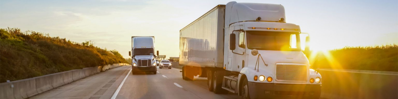 Moving Out of Chicago How to Find the Right Long-Distance Movers