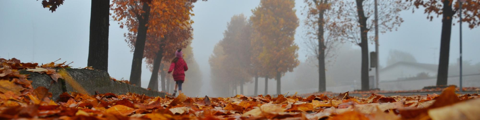 Fall Moving Guide: Why Moving During Autumn Is the Perfect Choice
